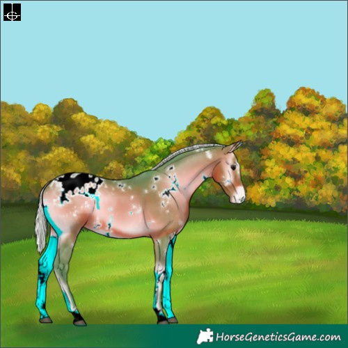 Horse Color:Watercolor White Spotted Silver Brown Onyx Blanket 
