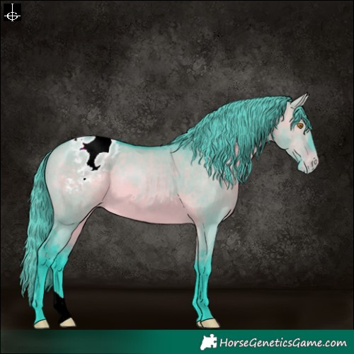 Horse Color:Watercolor Brown Dun Appaloosa 