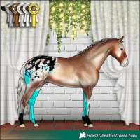 Horse Color:Silver Brown Onyx Appaloosa 
