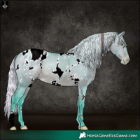 Horse Color:Watercolor White Spotted Silver Brown Dun Appaloosa 