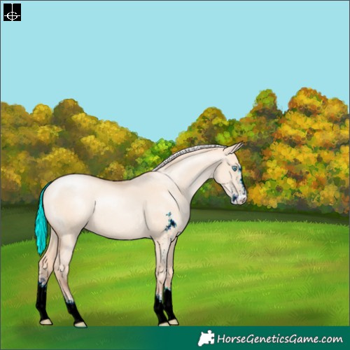 Horse Color:Silver Amber Champagne Pearl Dun Sabino Rabicano 