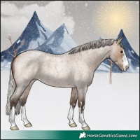 Horse Color:Silver Brown Roan Dun 