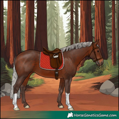 Horse Color:Silver Brown 