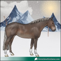 Horse Color:Silver Black
