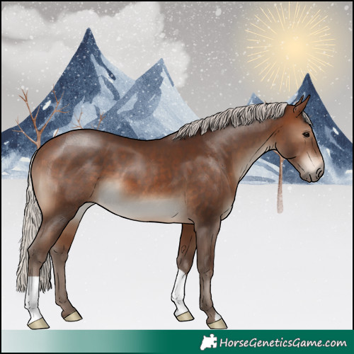 Horse Color:Silver Brown 