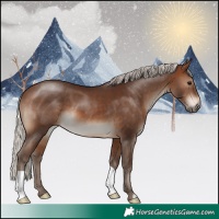 Horse Color:Silver Brown 