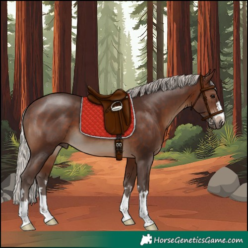 Horse Color:Silver Brown 