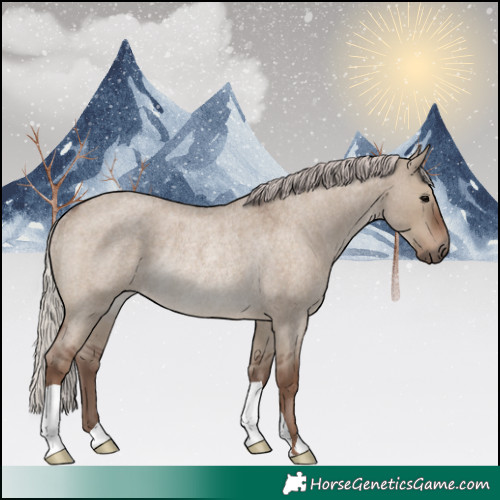 Horse Color:Silver Grullo Roan Rabicano