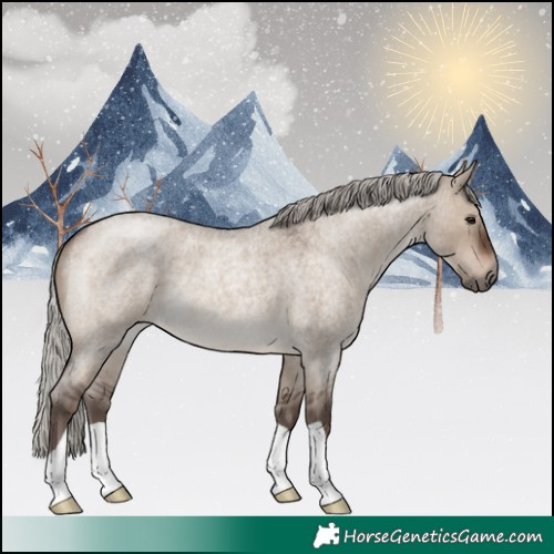 Horse Color:Silver Brown Roan Dun