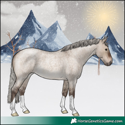 Horse Color:Silver Brown Roan Dun 