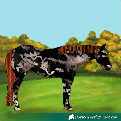 Horse Color:Void Painted Chocolate Blue Onyx Ice Splash Tobiano Brindle 