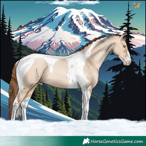 Horse Color:Brown Pearl Dun Sabino Tobiano 