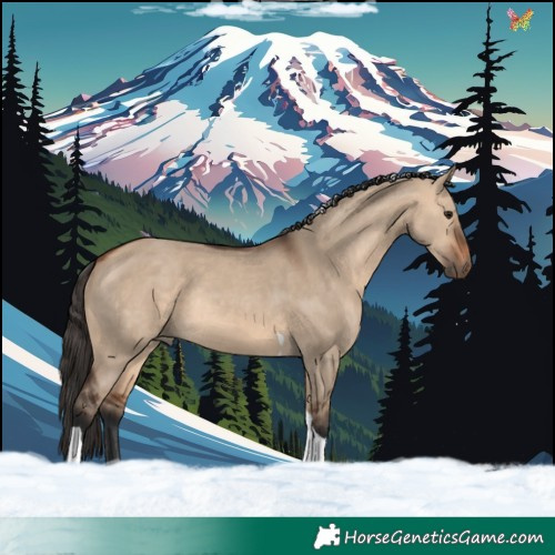 Horse Color:Bay Dun Tobiano Rabicano 