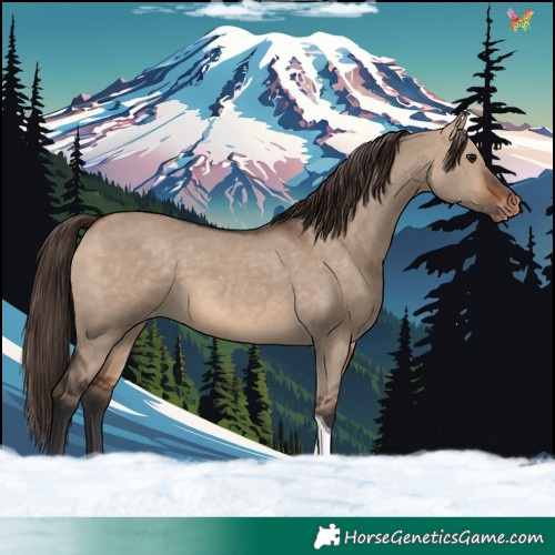 Horse Color:Bay Dun Tobiano Varnish 