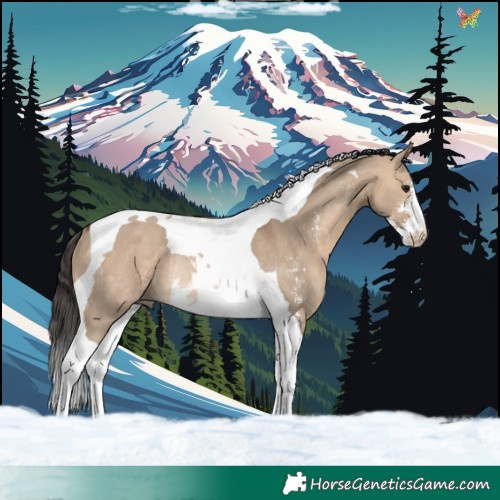 Horse Color:Bay Dun Sabino Tobiano Rabicano 