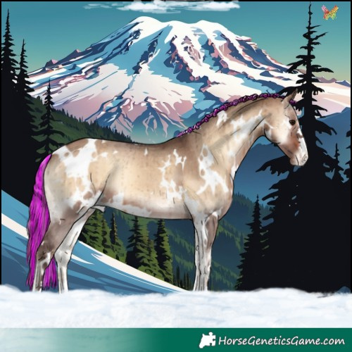 Horse Color:Painted White Spotted Brown Onyx Varnish Brindle 