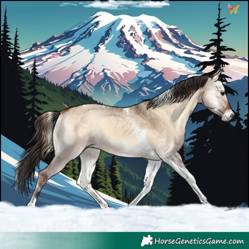 Horse Color:Bay Ice Onyx Tobiano 