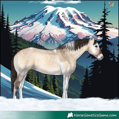 Horse Color:Bay Ice Onyx Tobiano 