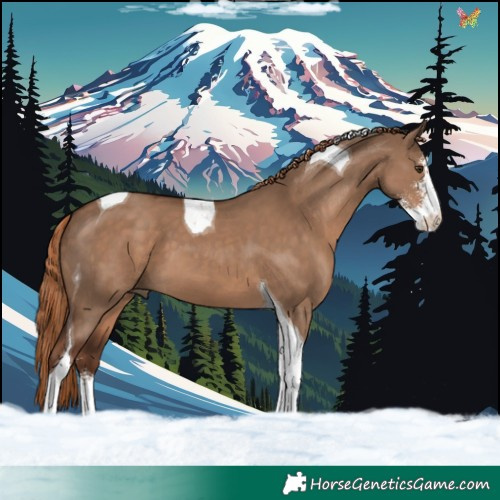 Horse Color:Liver Red Dun Sabino Tobiano 