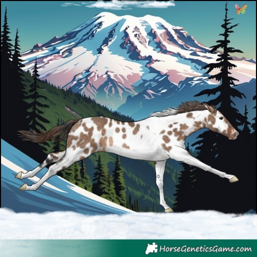 Horse Color:Brown Dun Tobiano Appaloosa Rabicano 