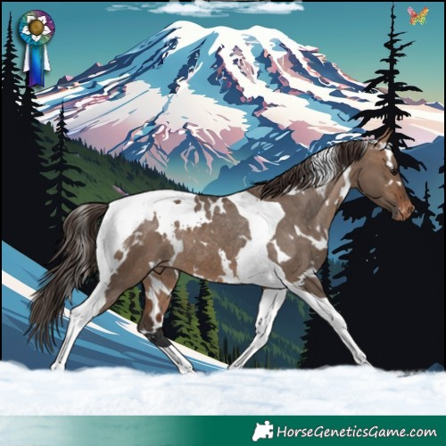 Horse Color:White Spotted Bay Dun Tobiano Appaloosa Rabicano 