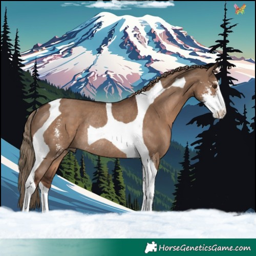 Horse Color:Liver Red Dun Sabino Tobiano Rabicano 