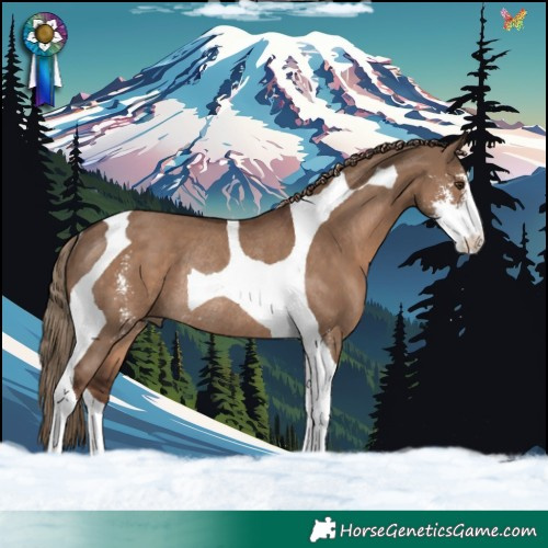 Horse Color:Liver Red Dun Sabino Tobiano Rabicano 