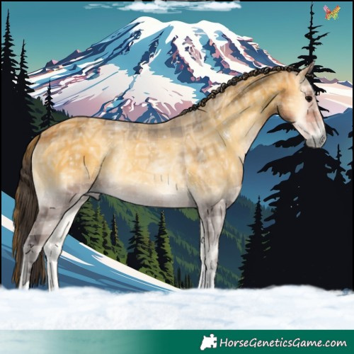 Horse Color:Plaid  Buckskin Ice Onyx Tobiano 
