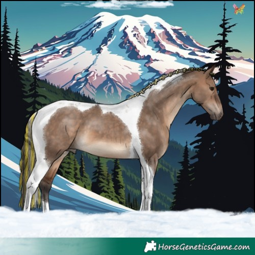 Horse Color:Painted Brown Dun Tobiano 