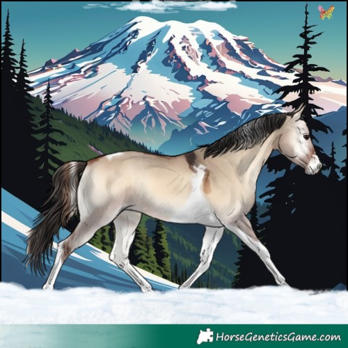 Horse Color:Bay Onyx Tobiano 
