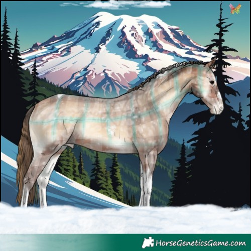 Horse Color:Plaid  Bay Ice Onyx Tobiano Appaloosa 