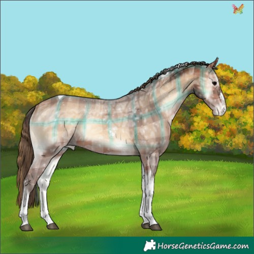 Horse Color:Plaid  Bay Ice Onyx Tobiano Appaloosa 