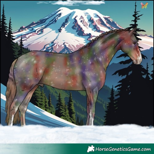 Horse Color:Nacre Liver Chestnut Sabino 