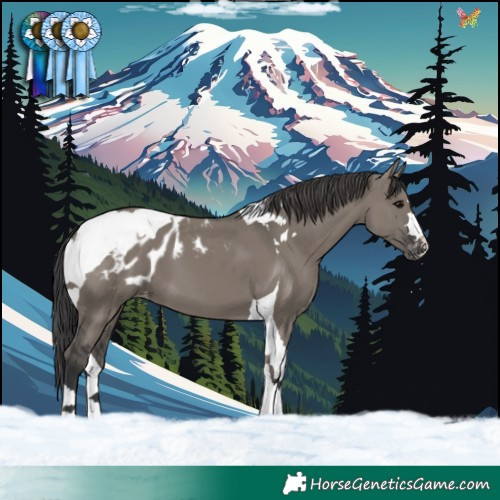 Horse Color:Grullo Tobiano Blanket 