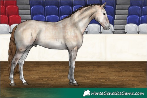 Horse Color:Plaid Bay Ice Onyx Tobiano