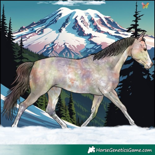 Horse Color:Nacre Buckskin Ice Dun Sabino 