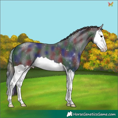Horse Color:Nacre Black Splash