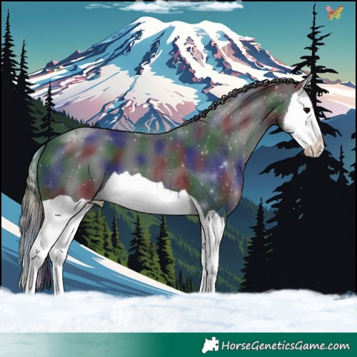 Horse Color:Nacre Black Splash 