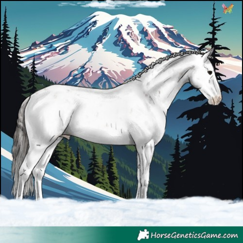 Horse Color:Bay Sabino 