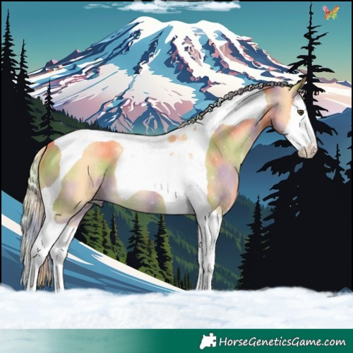 Horse Color:Nacre Palomino Dun Splash Tobiano 