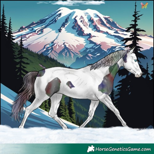 Horse Color:Nacre Black Splash Tobiano 