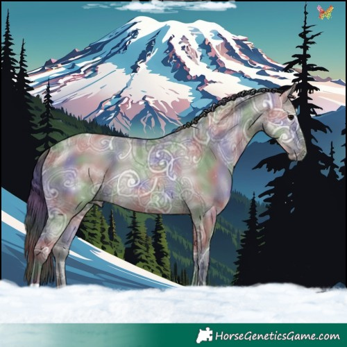 Horse Color:Nacre Grullo Ice 