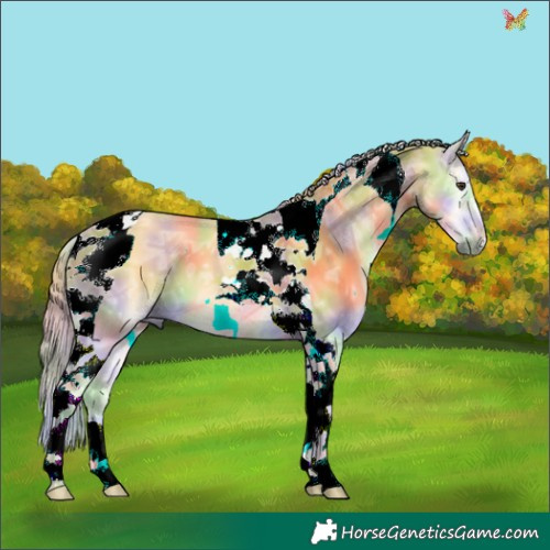 Horse Color:Nacre Palomino Ice Onyx Tobiano