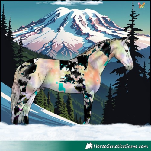 Horse Color:Nacre Palomino Ice Onyx Tobiano 