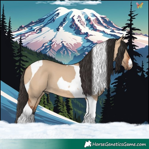 Horse Color:Bay Dun Tobiano 