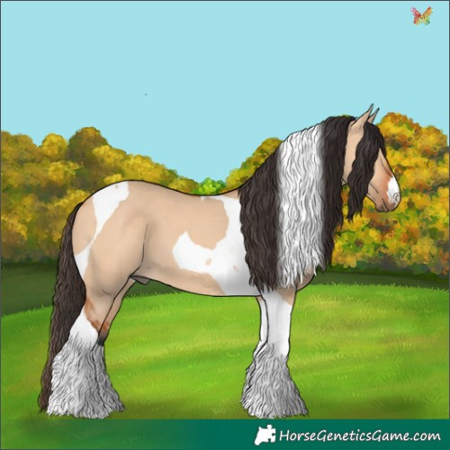 Horse Color:Bay Dun Tobiano 
