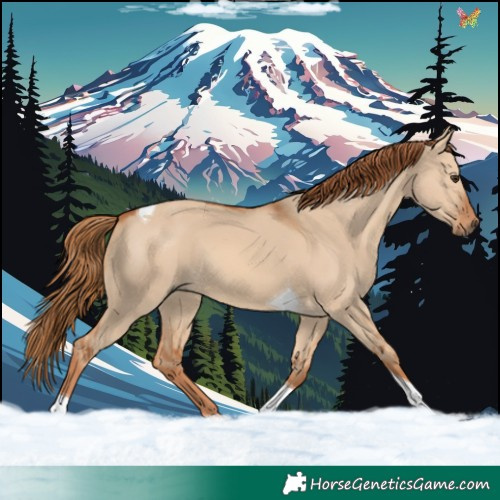 Horse Color:Red Dun Tobiano 