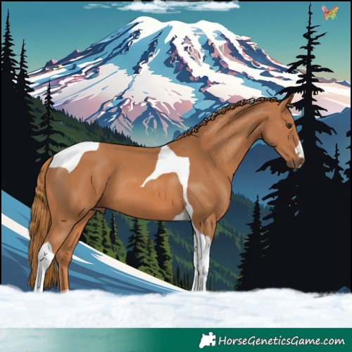 Horse Color:Chestnut Tobiano 