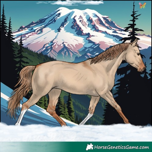 Horse Color:Red Dun Tobiano Rabicano 