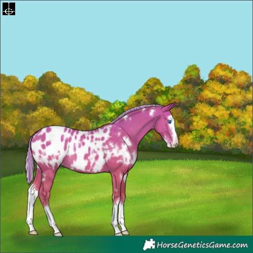 Horse Color:Painted White Spotted Silver Sable Champagne Splash Blanket Rabicano 
